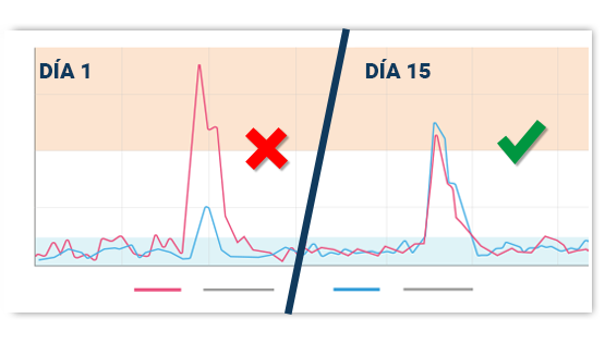 imag_conoce-evolucion
